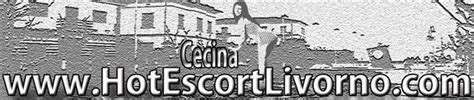 escort trans cecina|Trans Cecina, Annunci travestiti